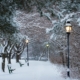 A snowy winter scene. Looking down a snow covered path, under a canopy of bare trees, towards small a wooden bridge