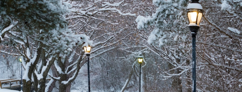 A snowy winter scene. Looking down a snow covered path, under a canopy of bare trees, towards small a wooden bridge